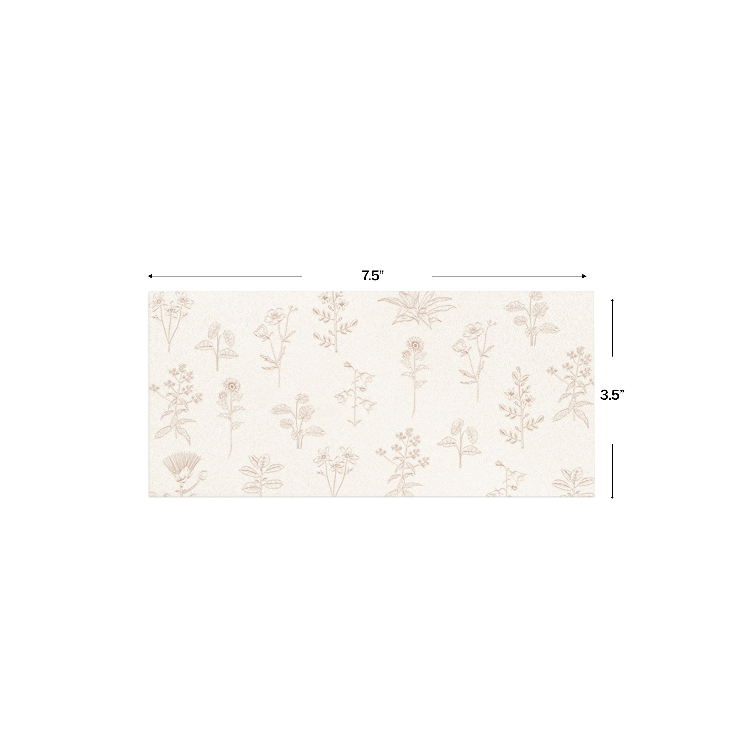 Vintage Botanical Metallic Personalised Money Envelopes shown with dimensions on a white background