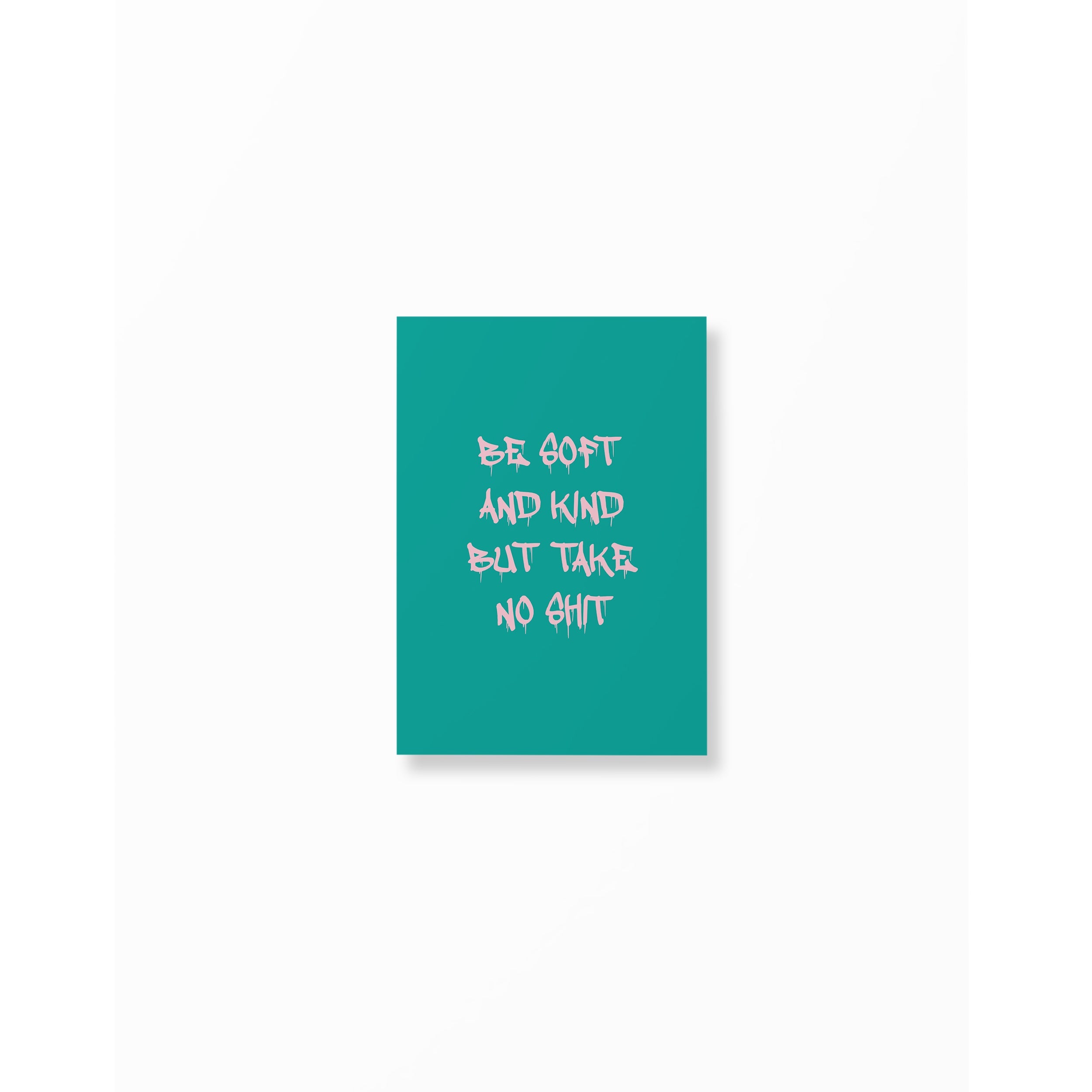 Pink & Teal Be Soft And Kind But Take No Shit Poster unframed A5